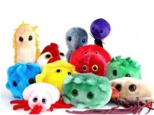 giant microbes