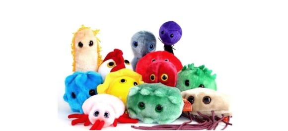 giant microbes free shipping